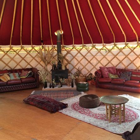 Silver Airstream Glamping & Rental Chichester Buitenkant foto