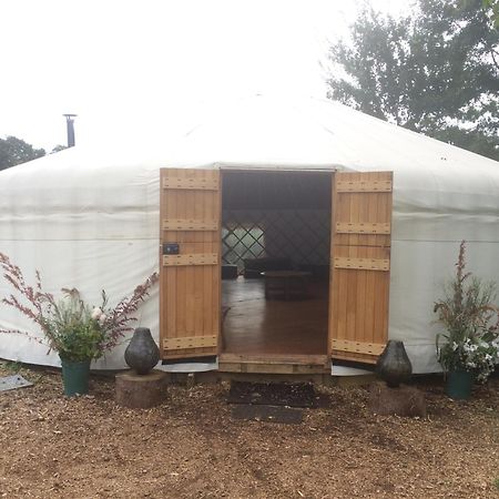 Silver Airstream Glamping & Rental Chichester Buitenkant foto