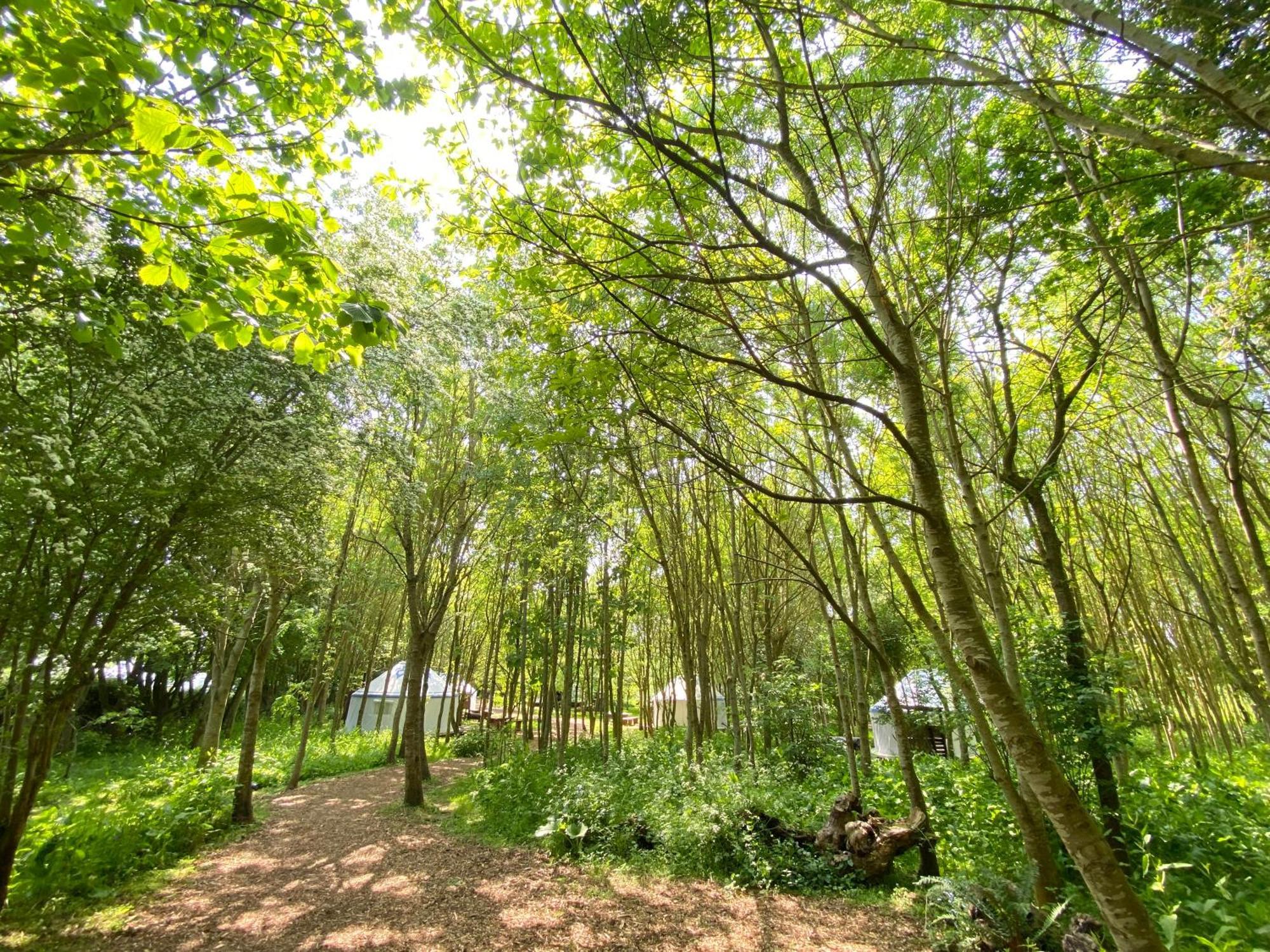 Silver Airstream Glamping & Rental Chichester Buitenkant foto